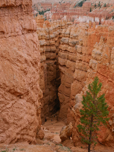 Partner Destinations callout