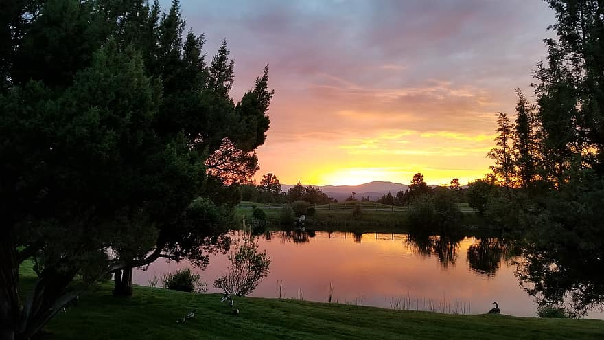 Management Services callout