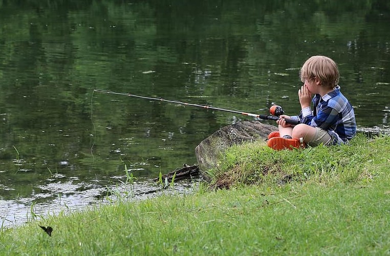 Things To Do Fireman`s Pond