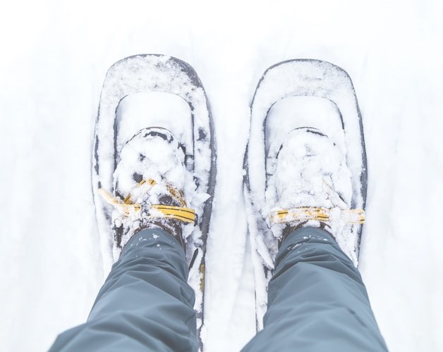 Things To Do Snowshoe Tour