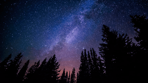 Things To Do Starfest