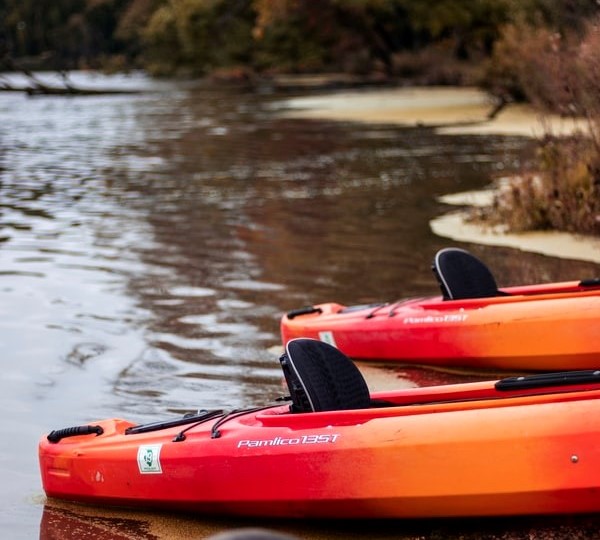 Thing To Do Tours & Rentals